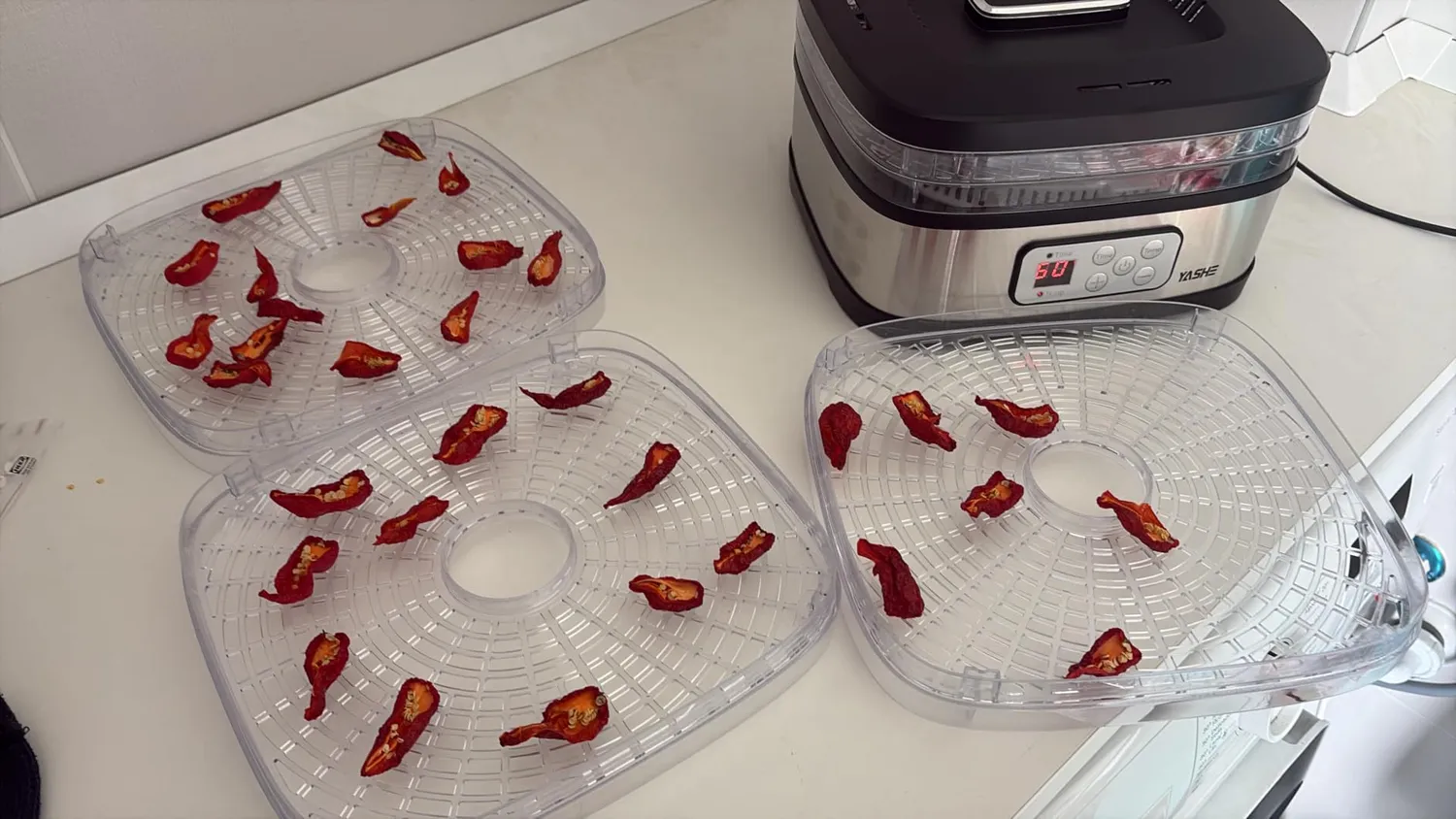 Yashe GGJ-261B essiccatore alimentare 5 vassoi elettronico