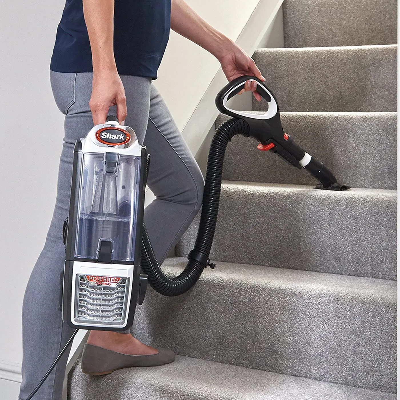 Shark NZ801EU Aspirapolvere con Filo 0,83L
