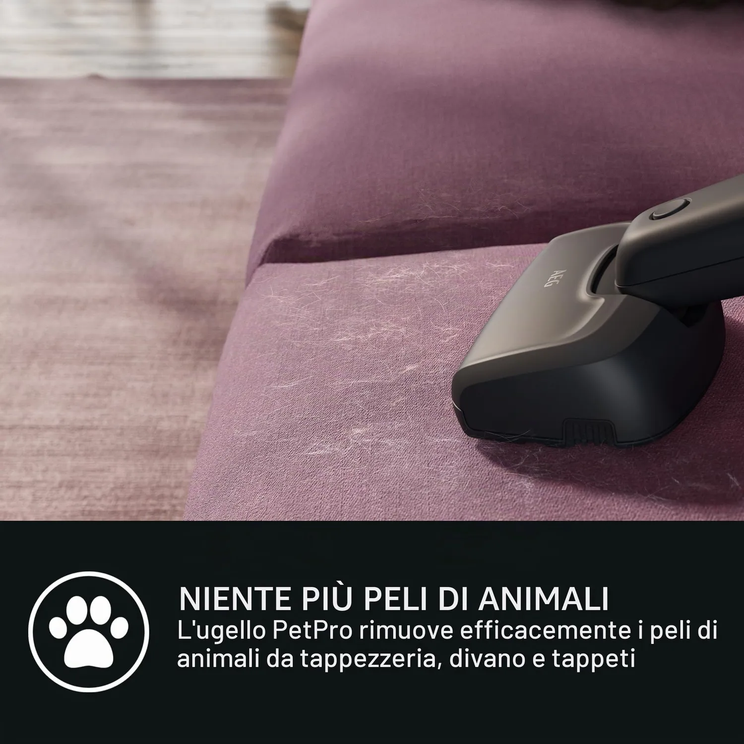 AEG QX6-1-45AN Aspirapolvere Senza Filo 45 min Animali
