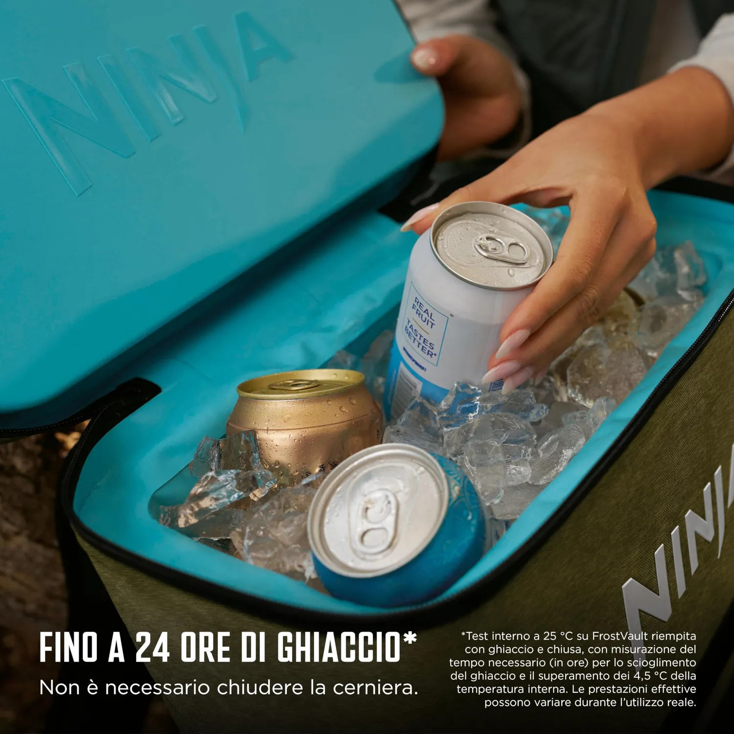 Ninja FrostVault Go Zaino Frigo 17L Verde con Siberina