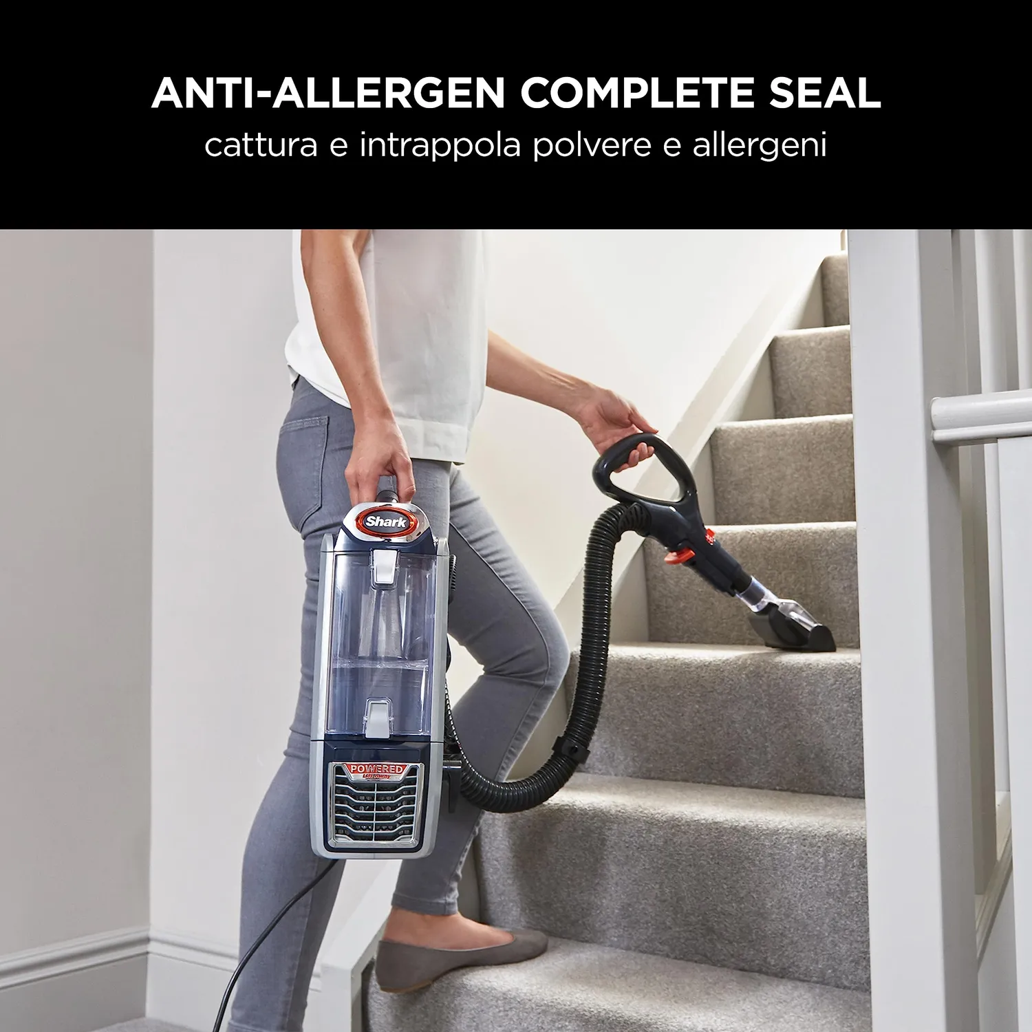 Shark NZ801EUT aspirapolvere filo blu lift-away 8m