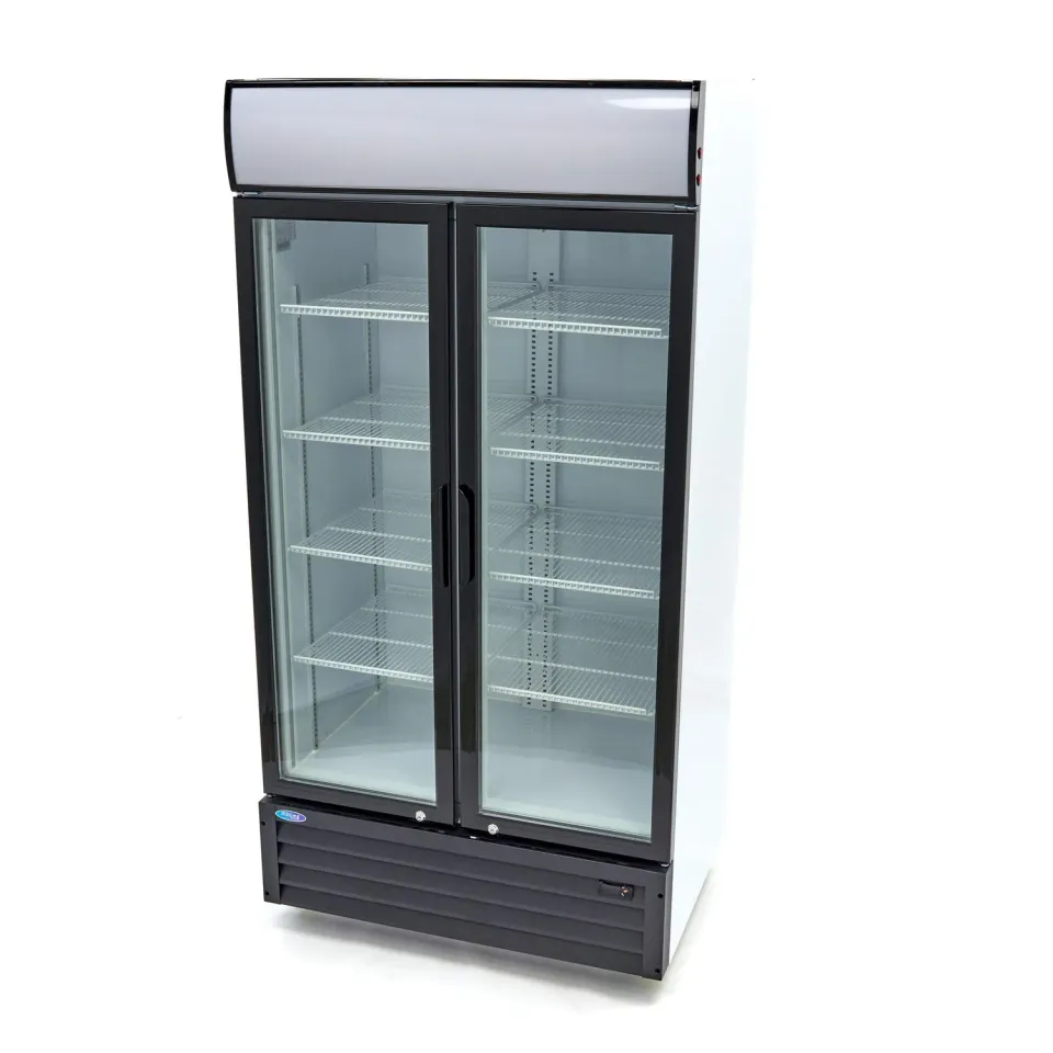 Maxima Vetrina bibite 800 L doppia porta vetro