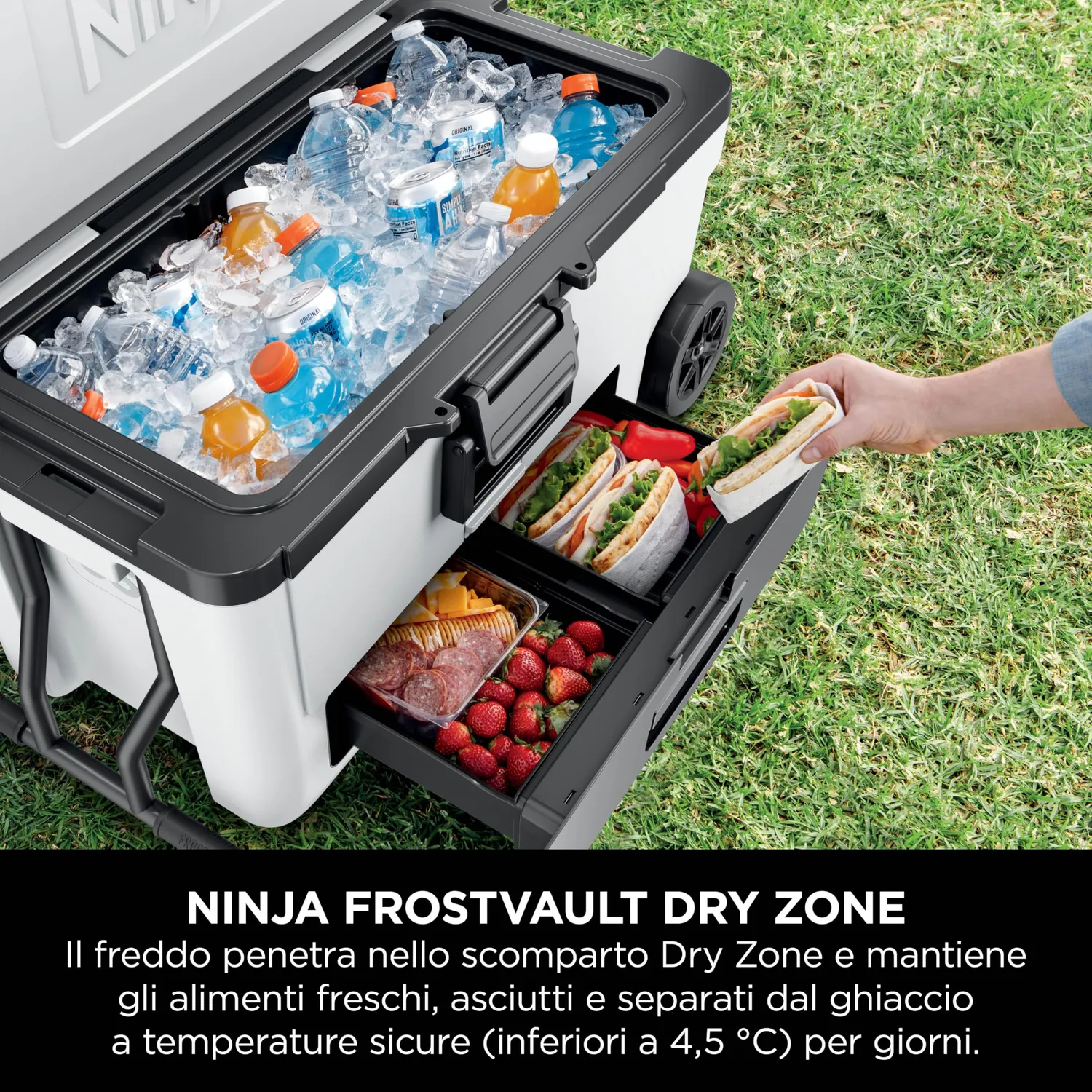 Ninja FrostVault FB265EUWH ghiacciaia 61L bianco con ruote