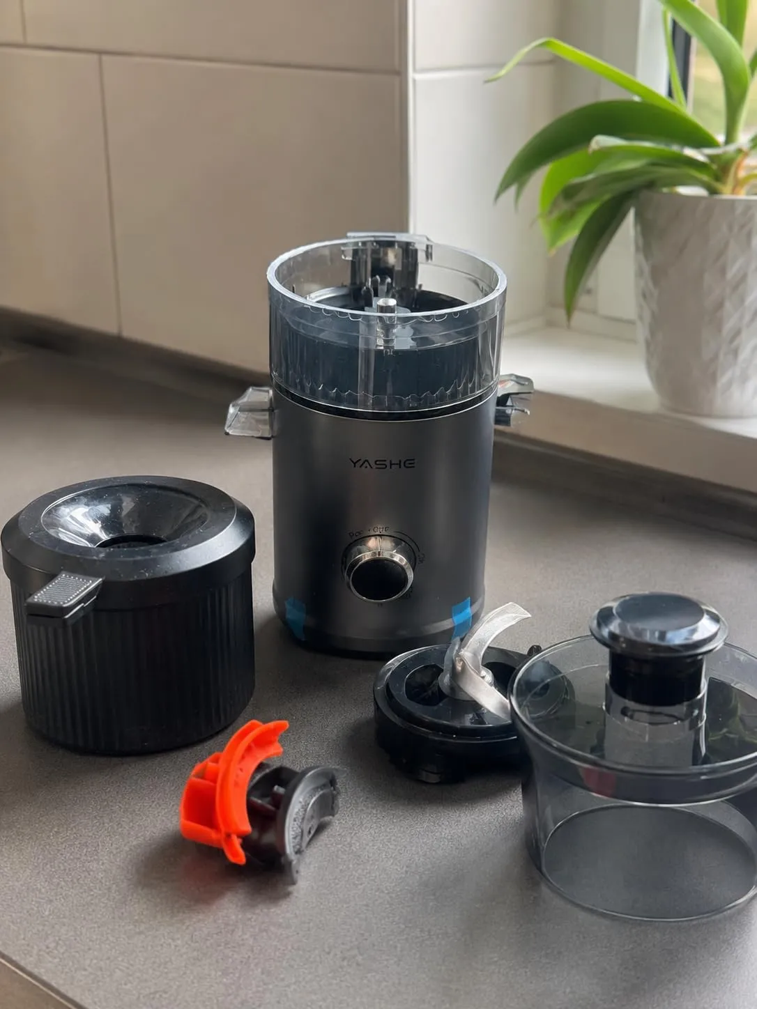 Yashe Estrattore Succo Freddo 600W Bocca 152mm 3-in-1