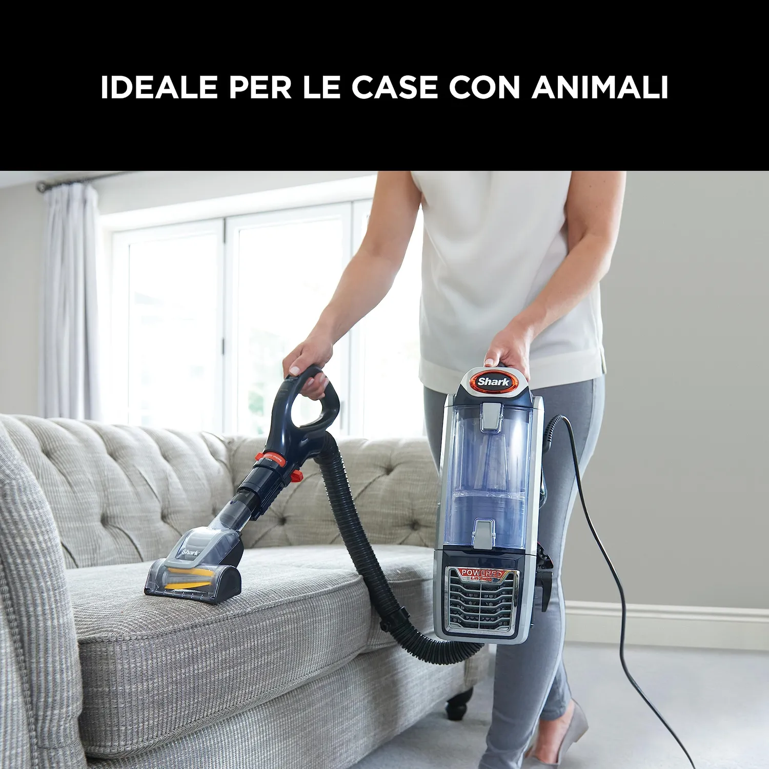 Shark NZ801EUT aspirapolvere filo blu lift-away 8m