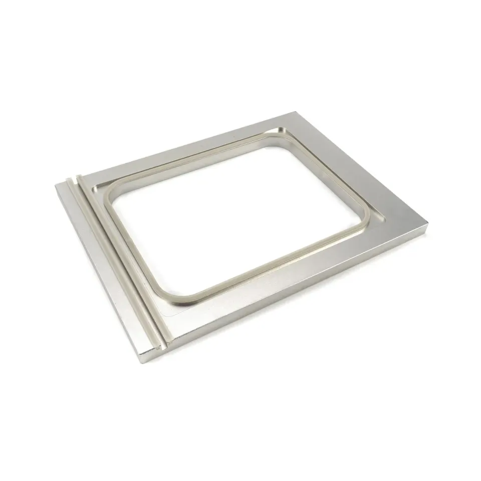 Pizza Maxima Large stampo carne 308x240 mm 1 scomparto