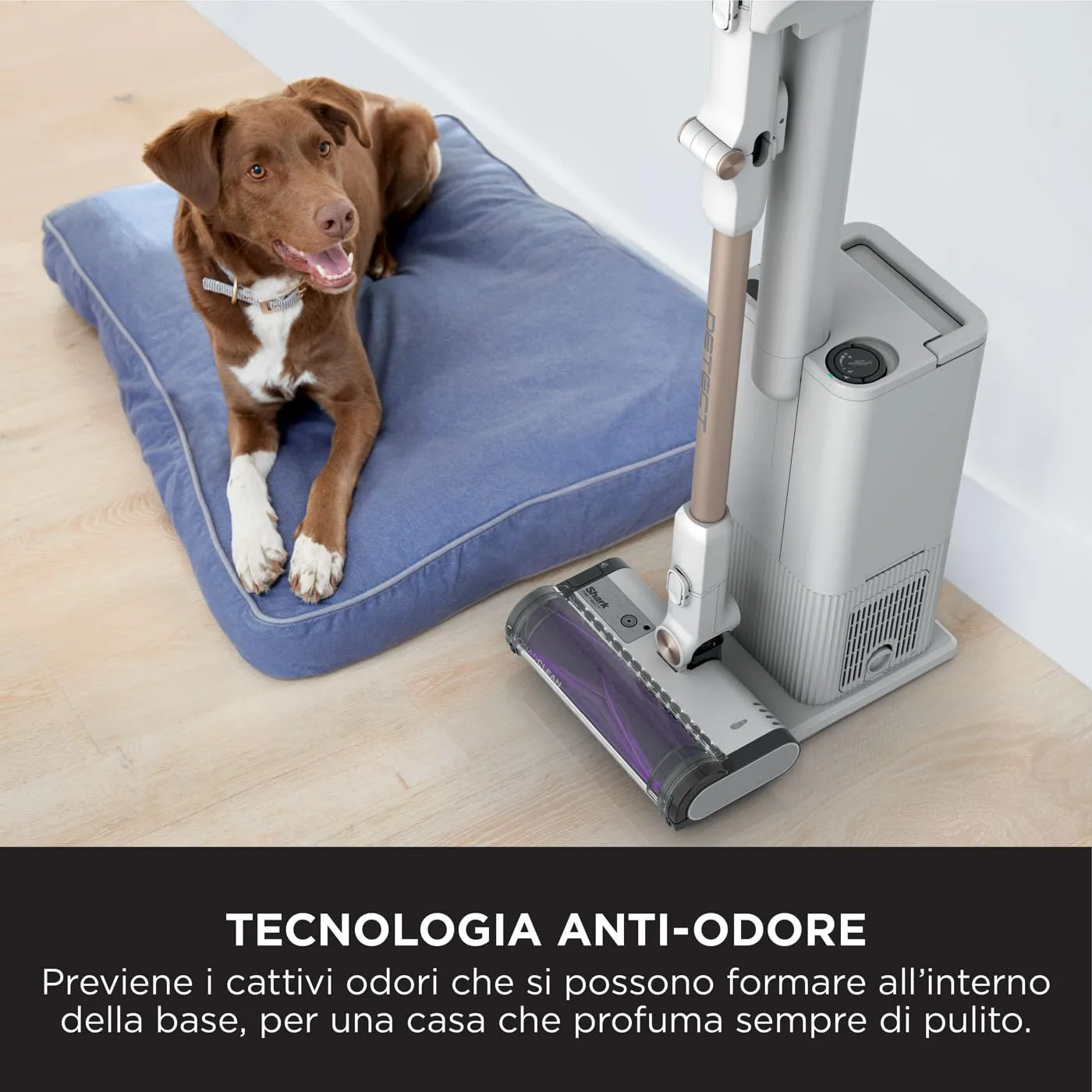 Shark Detect Clean & Empty IW3612EU aspirapolvere senza filo bianco 2L