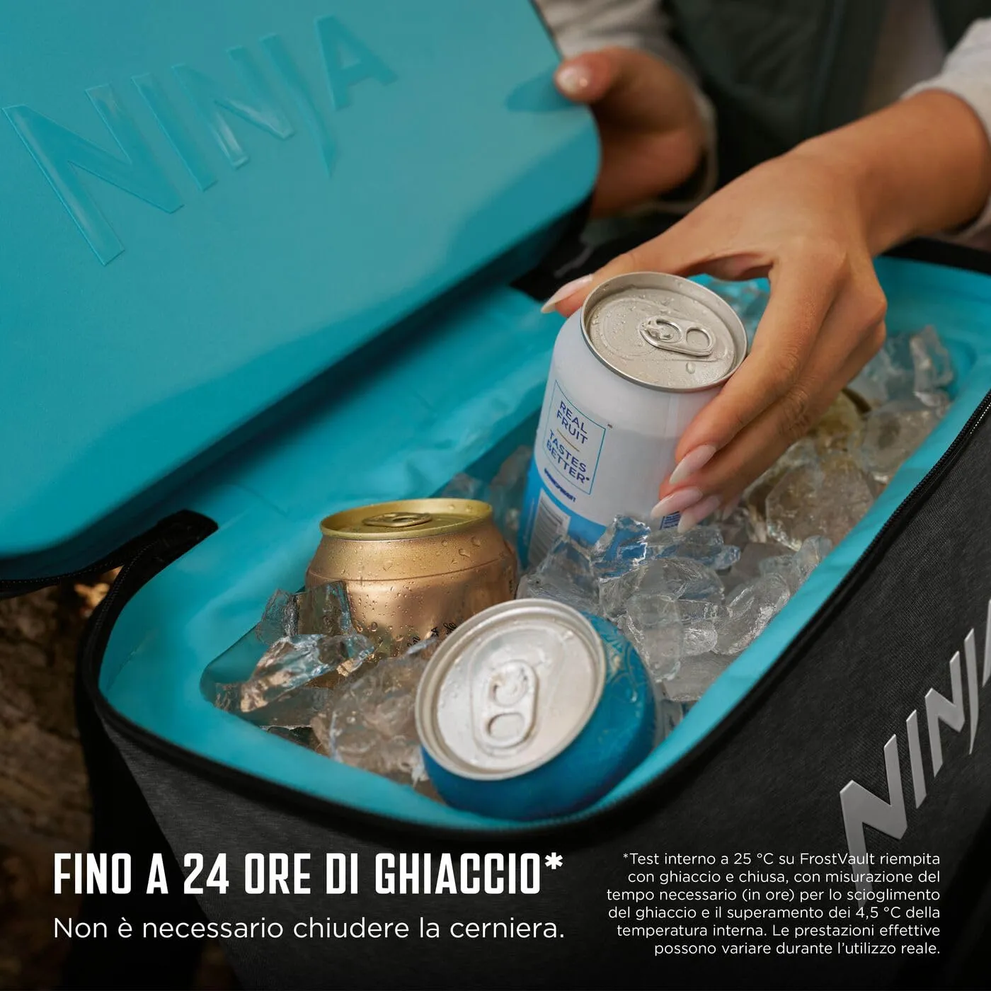 Ninja FrostVault Go FF136EUUKCG Ghiacciaia Zaino 23 L Grigio