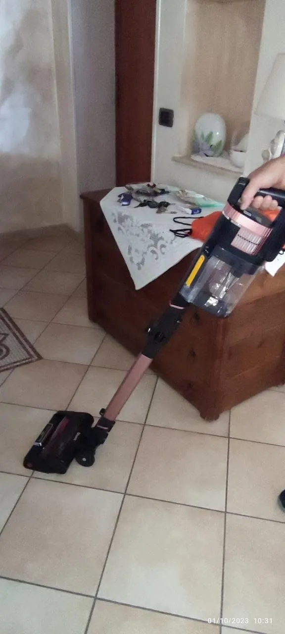 Shark Stratos Aspirapolvere Senza Filo Standard 60 min