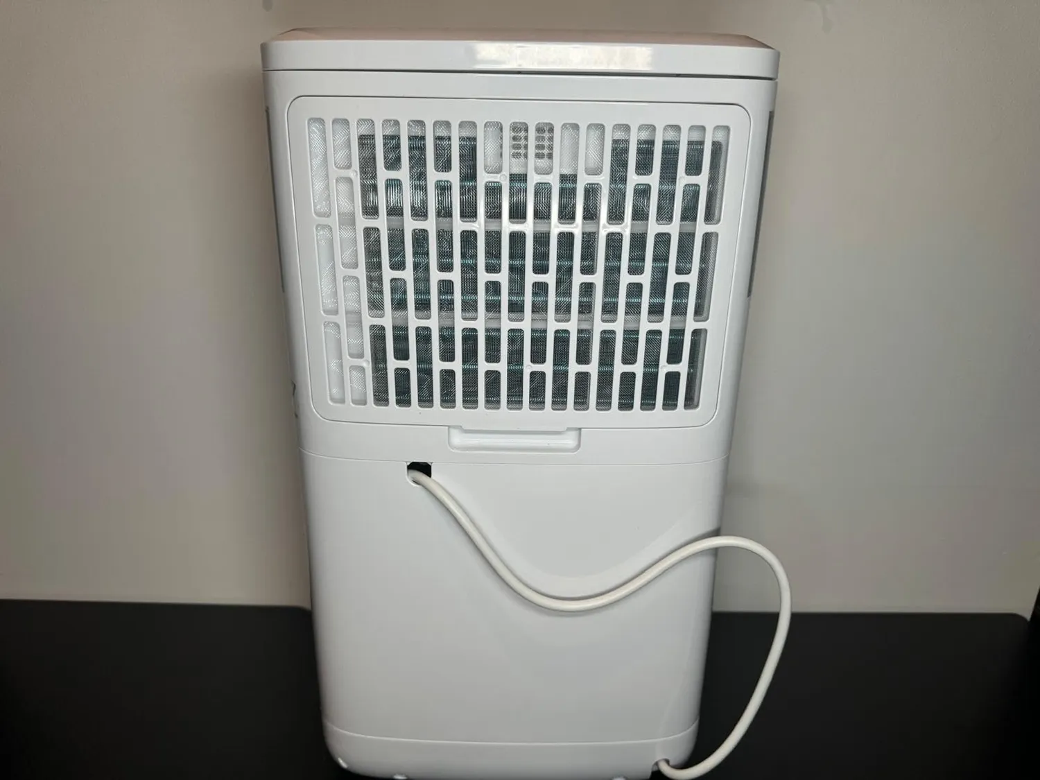 Yashe Deumidificatore 12 L/giorno Serbatoio 2 L