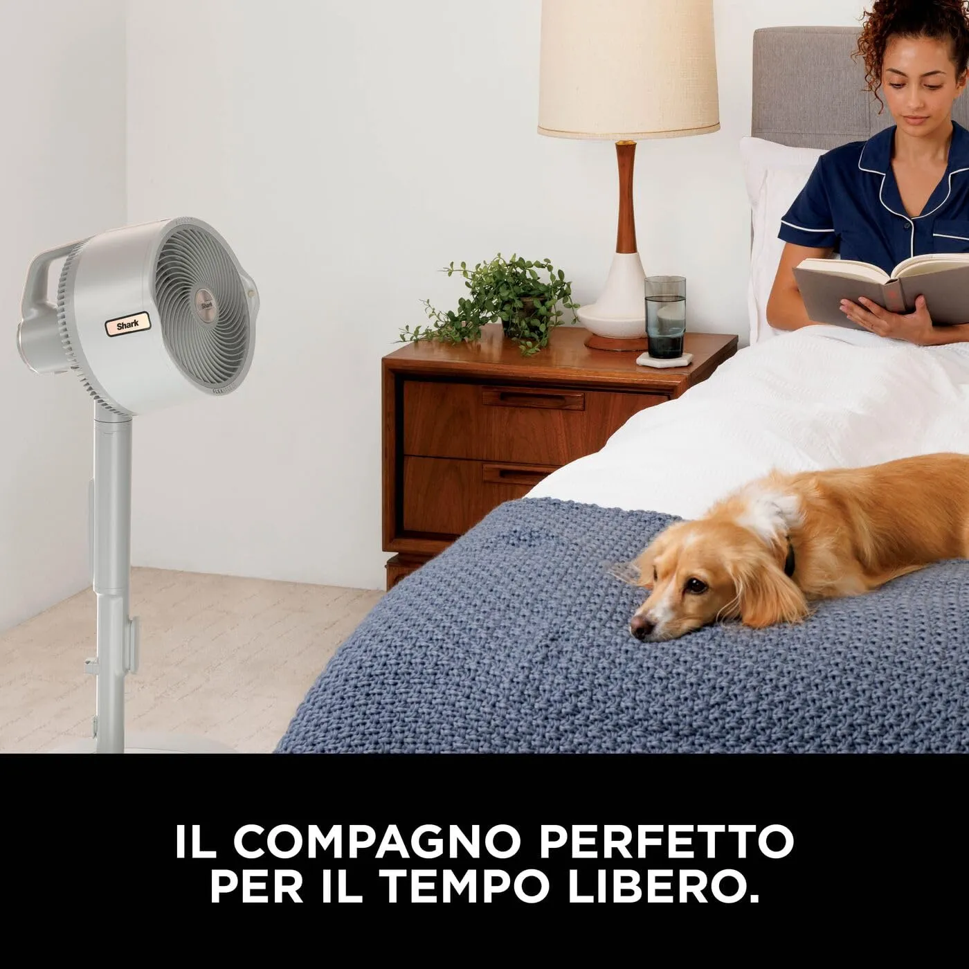 Shark FlexBreeze Pro Mist ventilatore nebulizzatore tortora