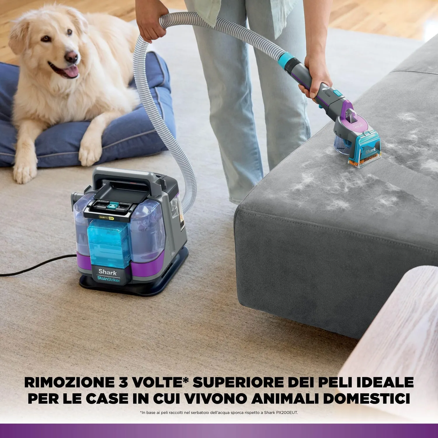 Shark StainStriker HairPro Pet smacchiatore standard