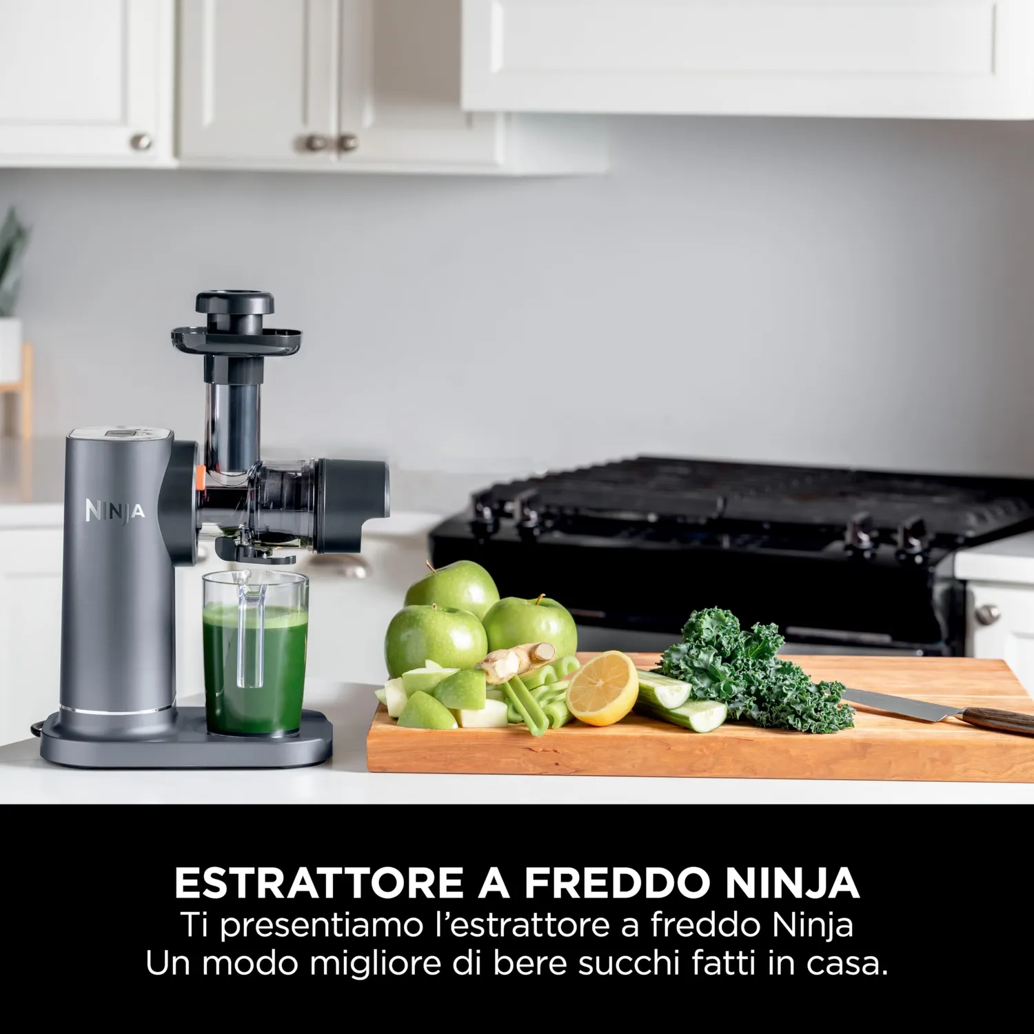 Ninja Cold Press estrattore succo a freddo 3 in 1 grigio