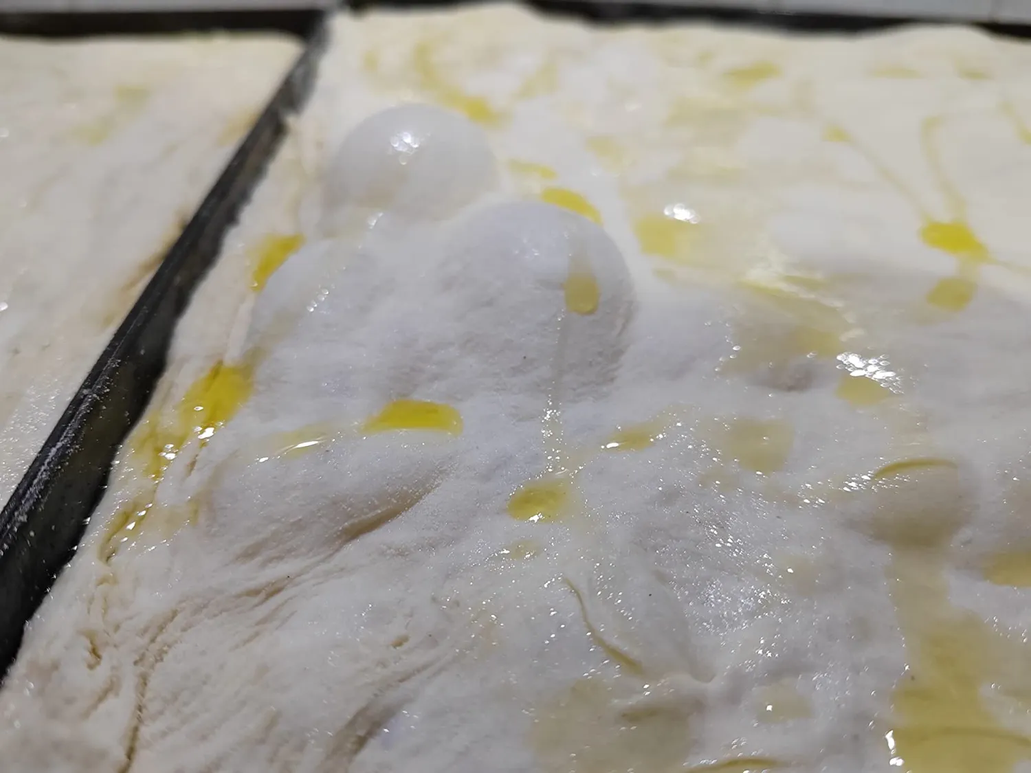 Maxima MPM 7L impastatrice planetaria bianca 7 litri