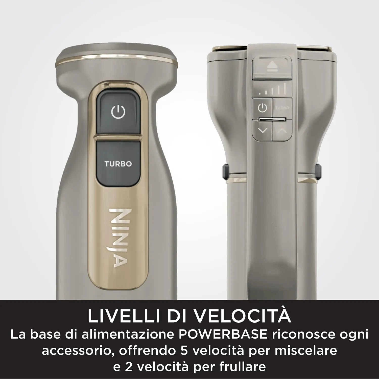 Ninja Foodi PowerBase frullatore immersione 850W pietra oro