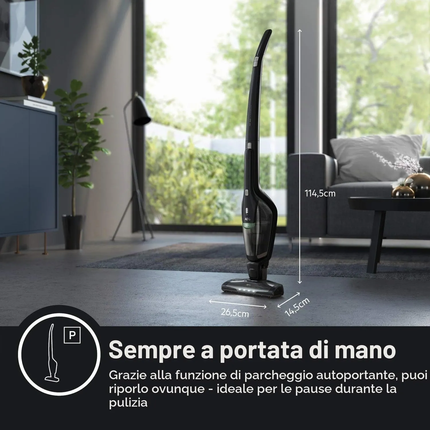 AEG Serie 3000 Ergorapido CX7-2-45MÖ Scopa Nero Eco