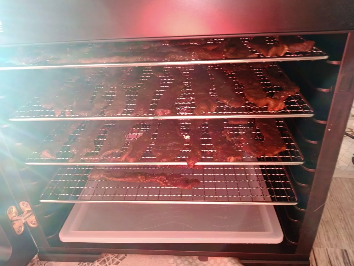 YASHE essiccatore alimentare 9 vassoi inox 1000W