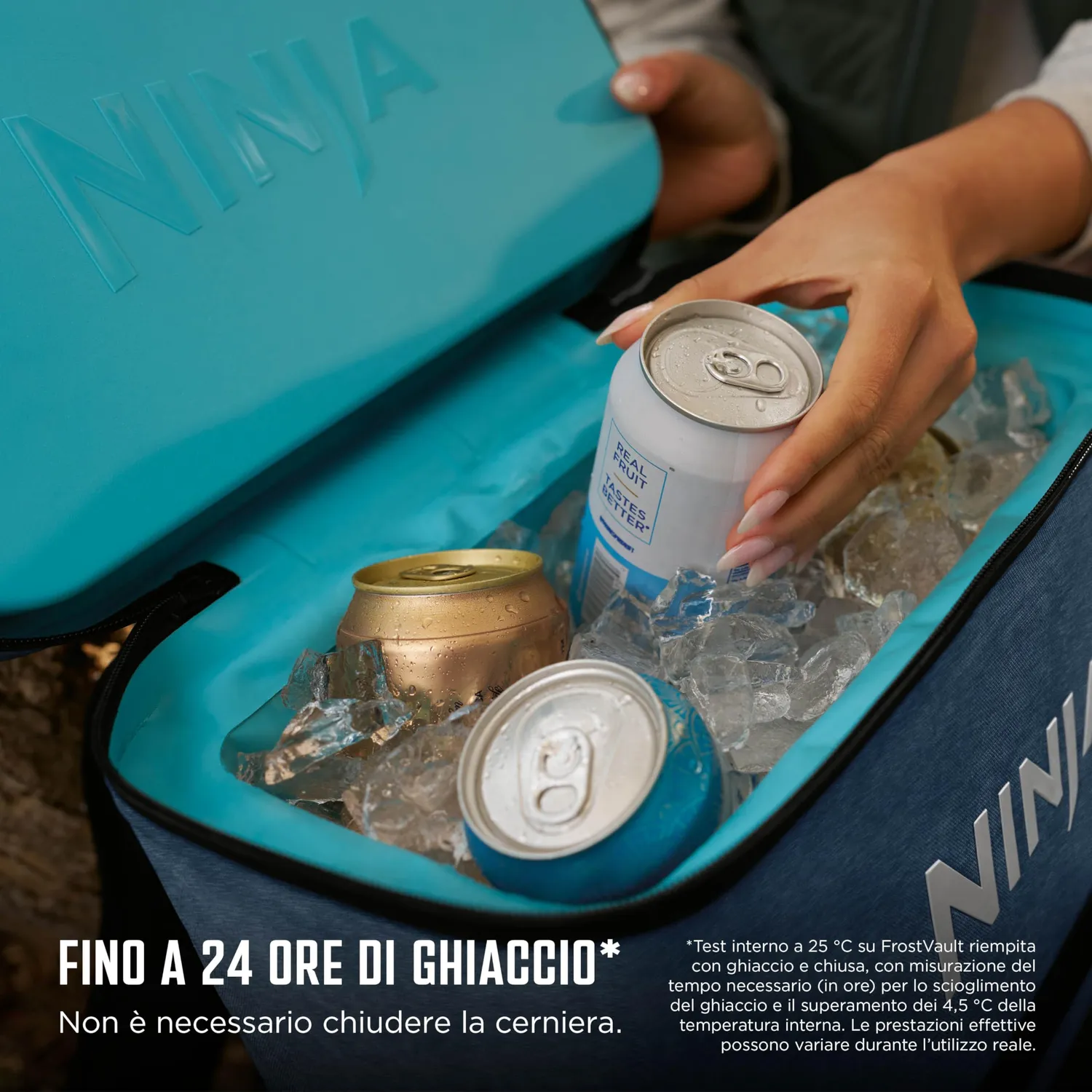 Ninja FrostVault Go FF124EUUKNV zaino frigo 17L navy