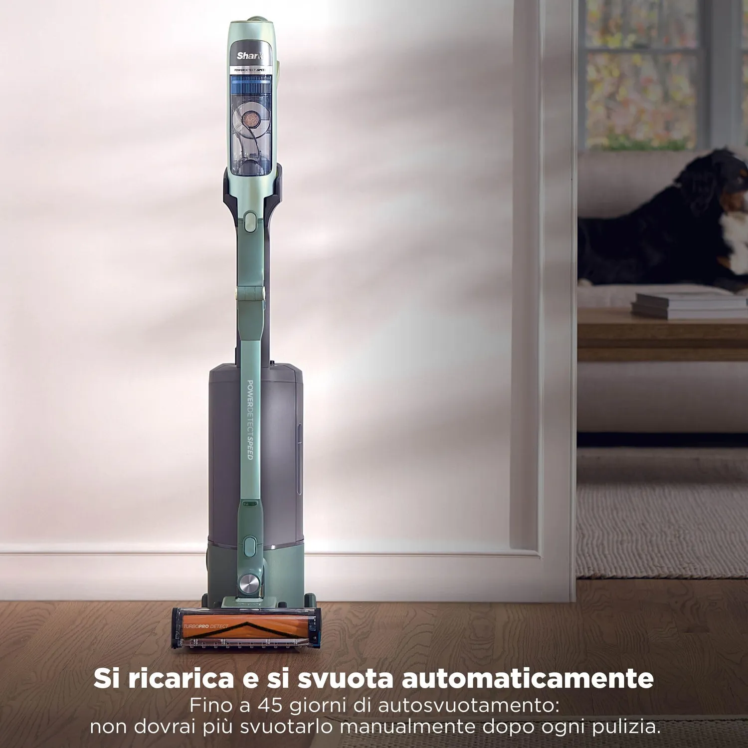 Shark PowerDetect Speed Pet Pro Clean & Empty grigio salvia